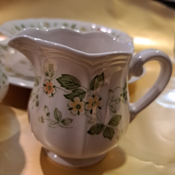 Vintage 1970 Petite Flora Set - Picture 3 of 13